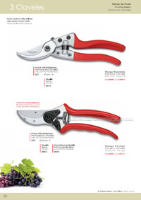  SCISSORS PRUNING 3 Claveles