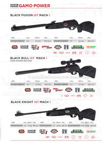 CARBINES AIR COMPRIME 002 Gamo