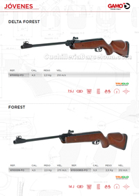 COMPRESSED AIR CARBINES 014 Gamo