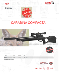 CARABINAS AIRE COMPRIMIDO 017 Gamo