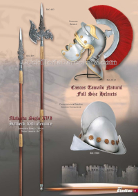 HELMETS AND HALBERDS Gladius